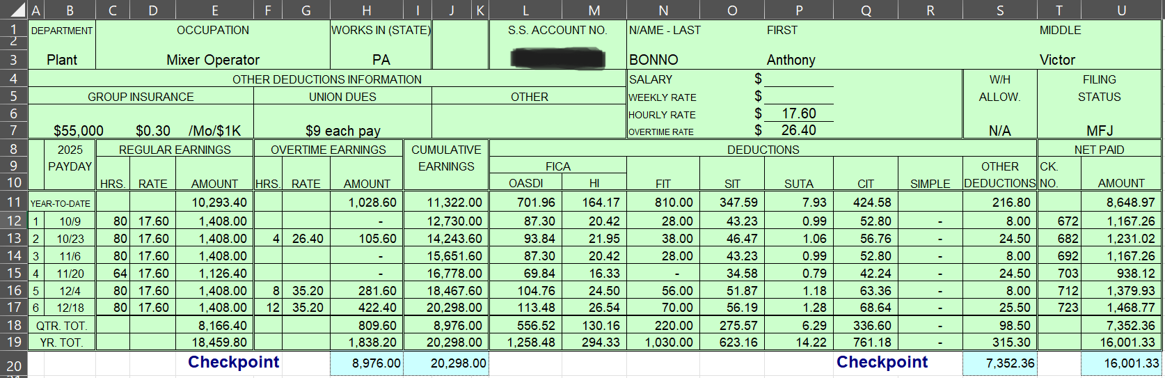 Employee Earnings Record